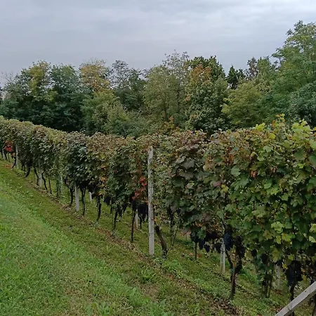 Casa Lodolo Apartamento