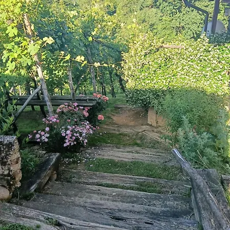 Appartement Casa Lodolo *